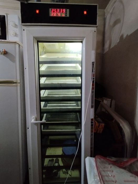 Инкубатор сотилади срочна ишлаши яхши