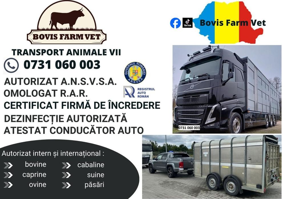 Transport Animale Vii