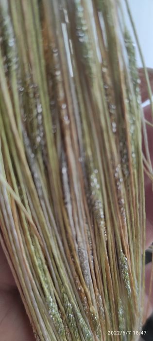 Шторы нити кисея