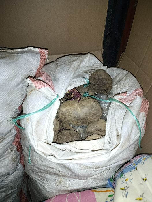 Два мешка свеклы по 50кг