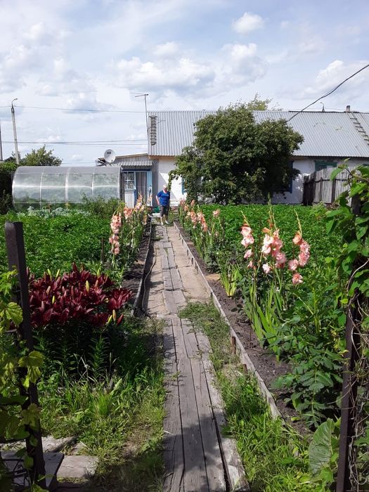 Продам дом часный