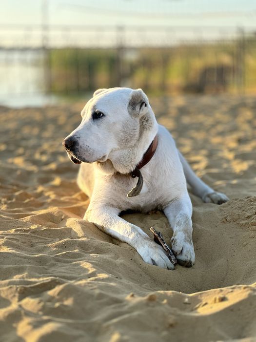 Украден член семьи!