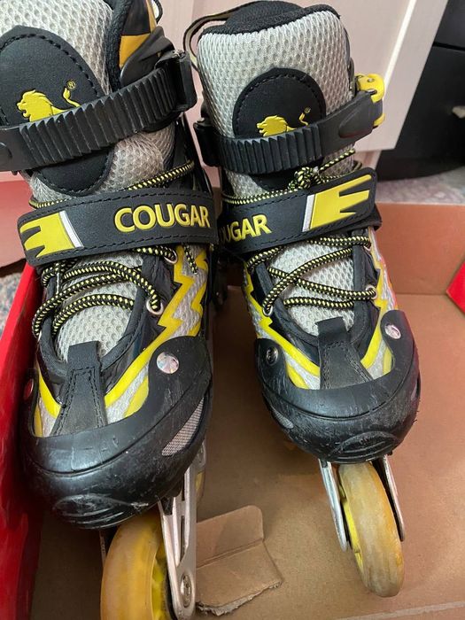 Ролики Cougar б/у