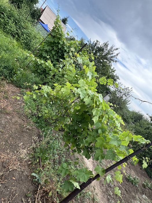 Продам дачу зимни варянт