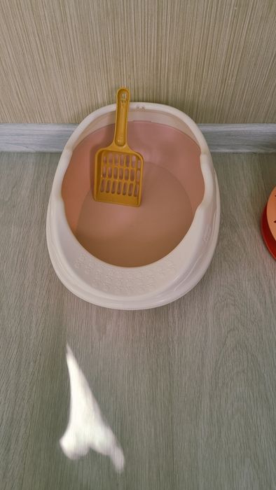 Продам для котят