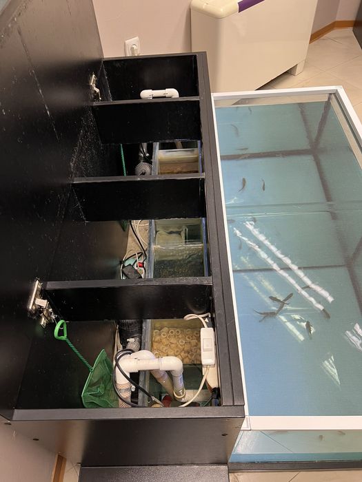 Оборудвани аквариуми за гара руфа