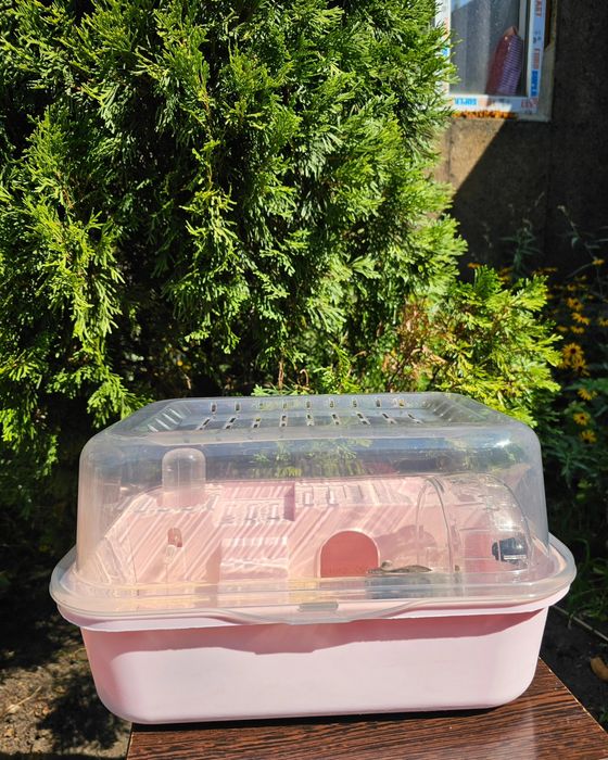 Новые клетки для хомяков