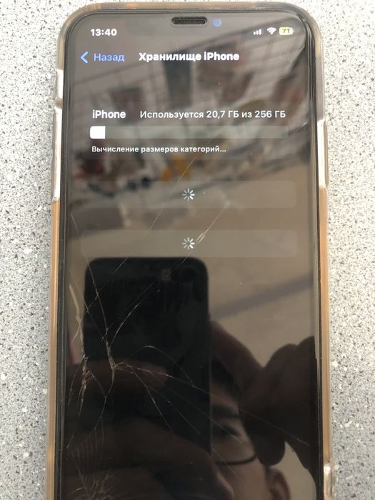 iPhone X 256GB 100%