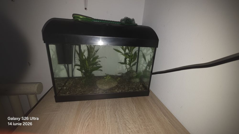 Acvariu de 20 litri pentru pesti