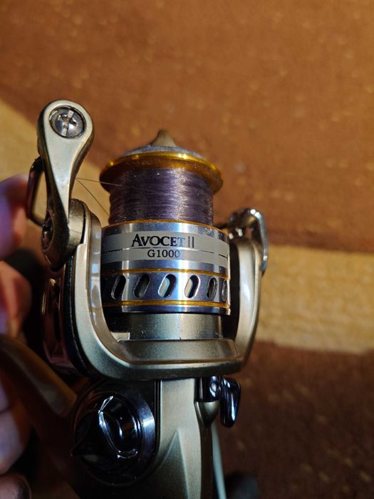 Mulineta Michell avocet2