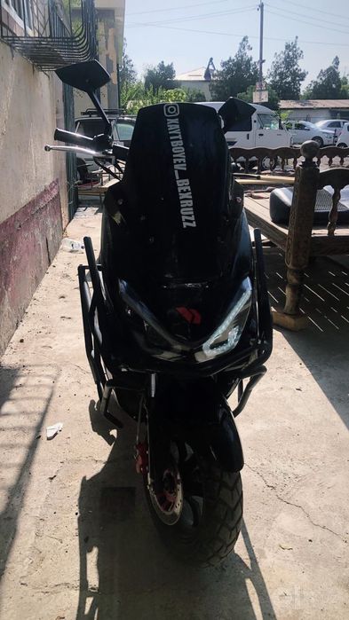 Skutr tiger