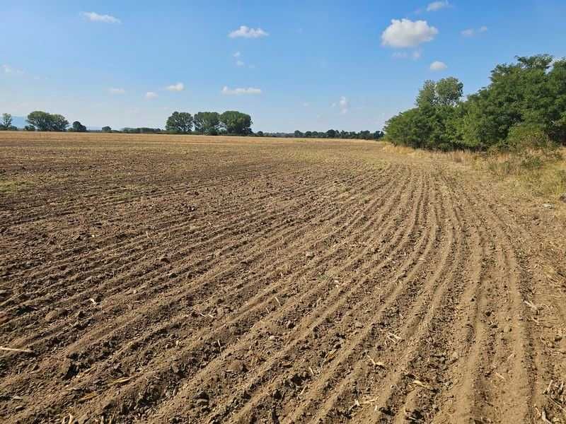 Продава се Земеделски имот в с. Боянци, Област Пловдив -  кв.м за 28 €/дка - Снимка #4