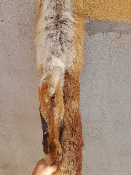Обработена кожа от лисица