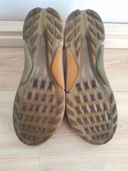 Pantofi sport barbati Ecco Biom GTX 41