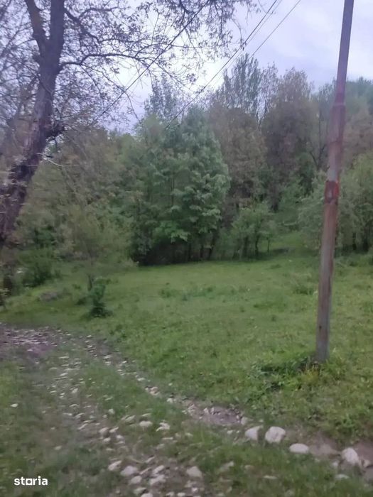 Teren intravilan | Provița de Sus | Breaza | PRAHOVA
