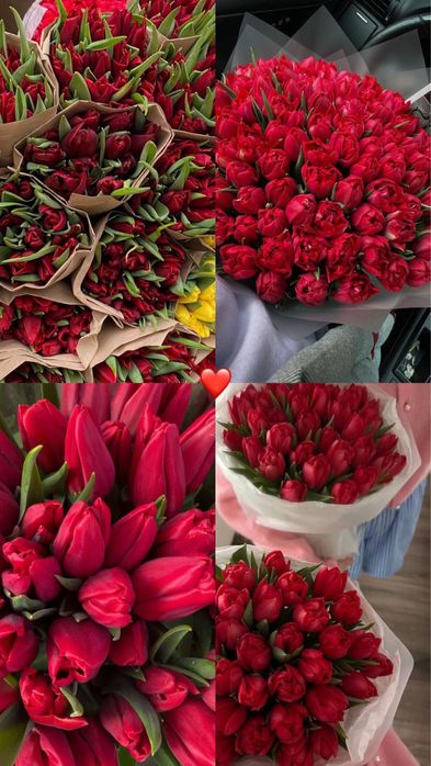 Тюльпаны Караганда