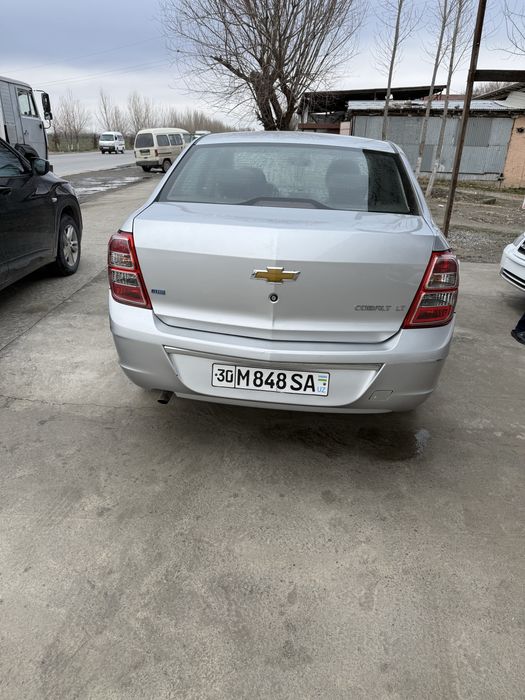 Kobolt 2014 prapan165 yurgan