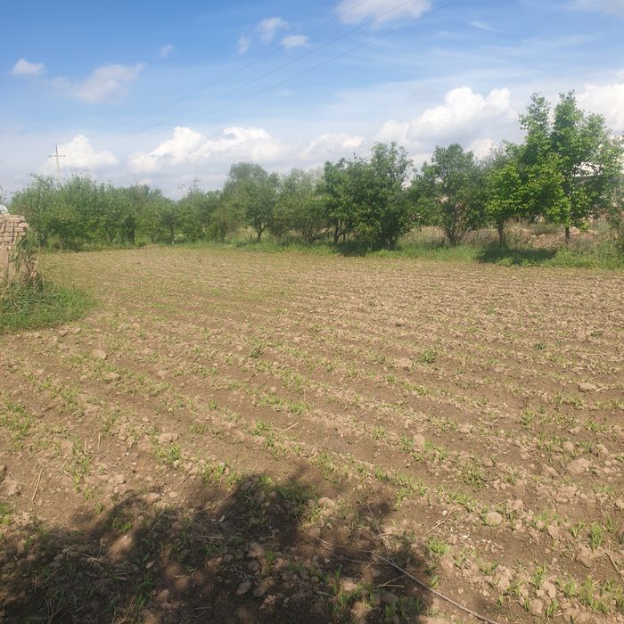 Uy sotiladi manzil Angor tumani tallimaron 1 bo‘lim