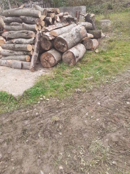 Lemne uscate de foc !