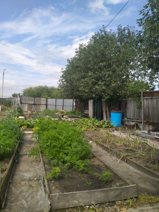 Продам дачу Новопавловка