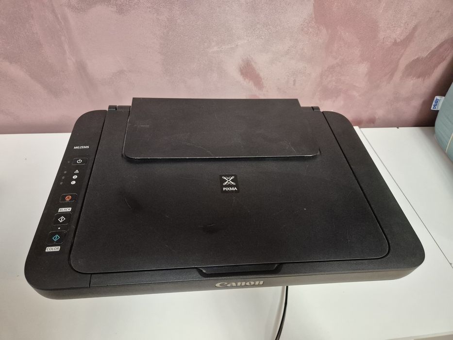 Canon Pixma MG2550S