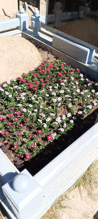 Гул экиш хизмати