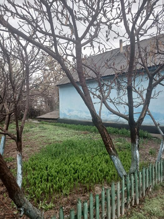 Продам дом в Бактыбай