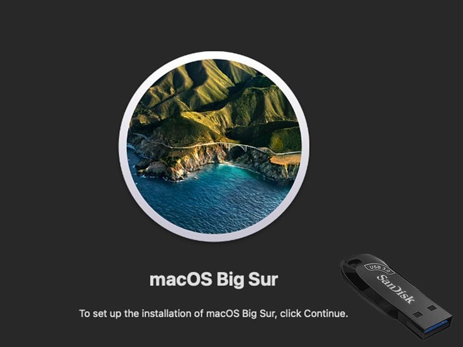 USB Stick macOS Catalina Bootable Installer Orice Versiune macOS