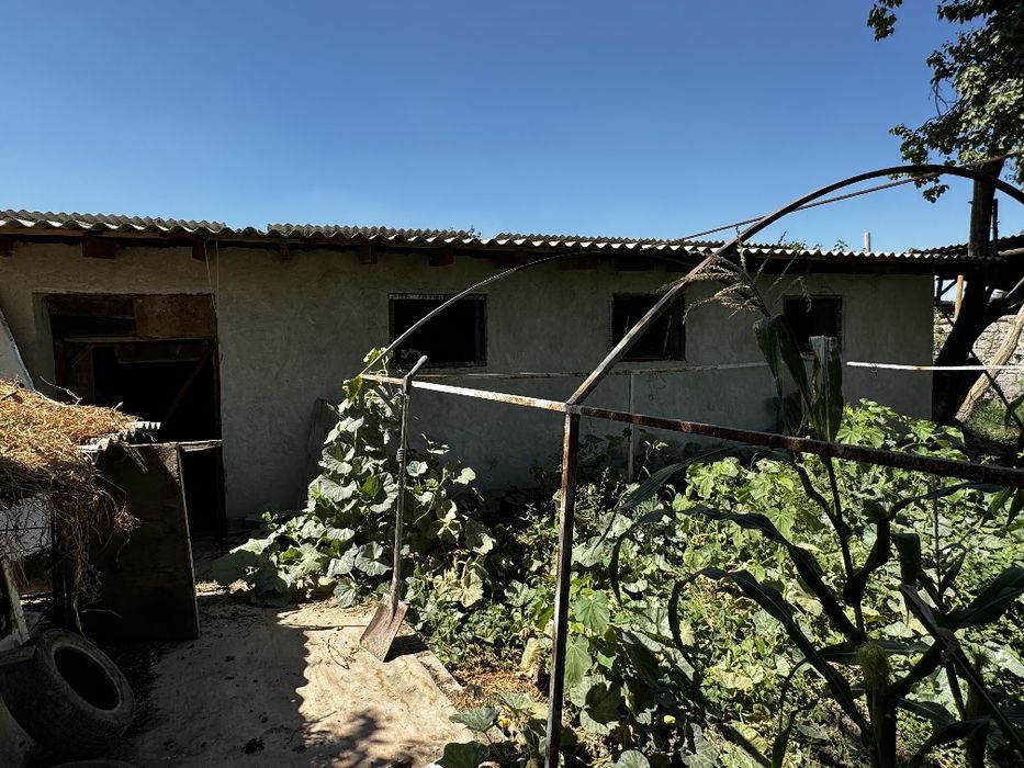 Hovli sotiladi 10 sotixdan kattaroq