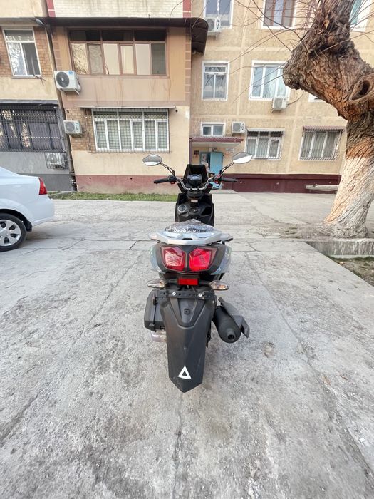 Sukutr Samuray Yangi