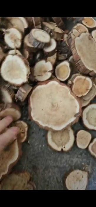 Можевельник для бани