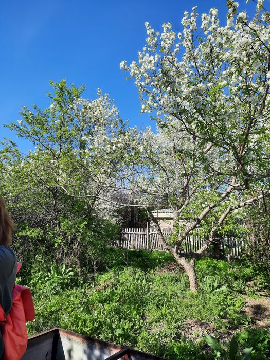 Дача.Опытное поле.