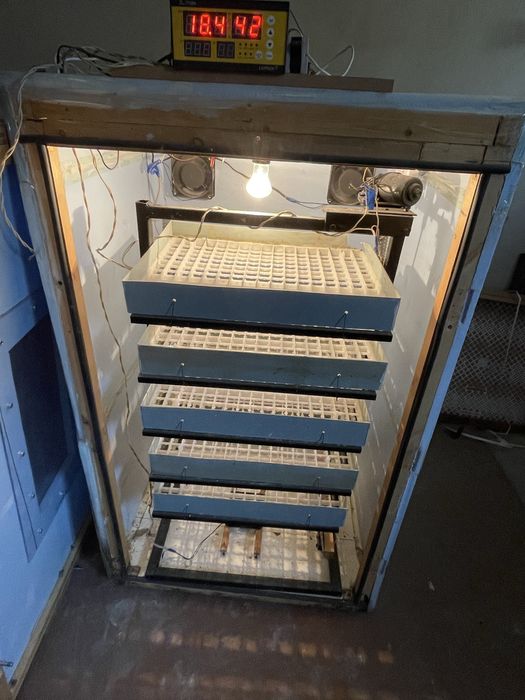 инкубатор сотилади