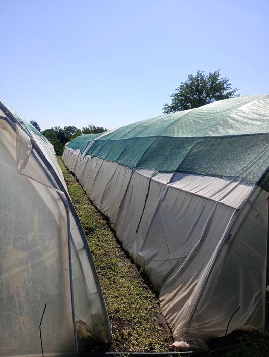 Три броя оранжерии