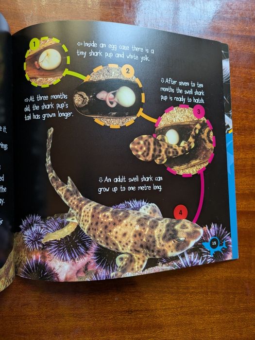 Set 2 carti in engleza din seria  Life Cycles  Fluturi si rechini