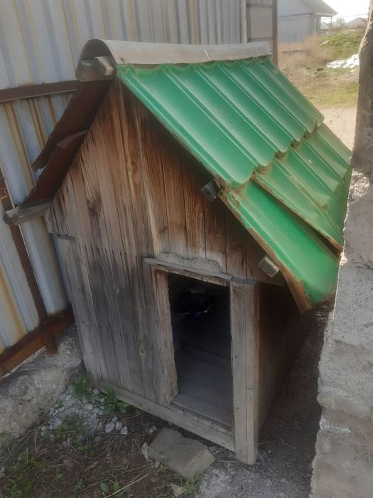 Итке ұя/Большой домик