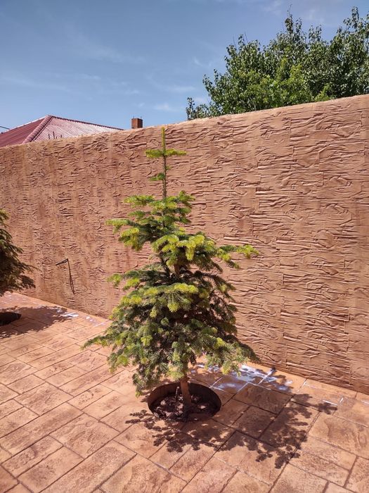 Beton amprentat Constanta