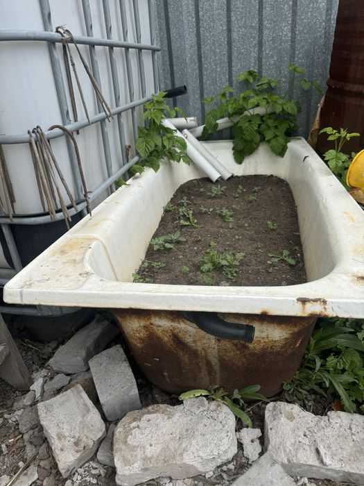 Продам куб, ванну