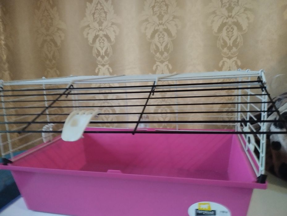 Клетка для морских свинок