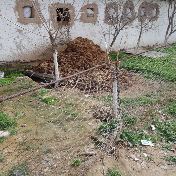 Biogums biogomus pori пори сотилади