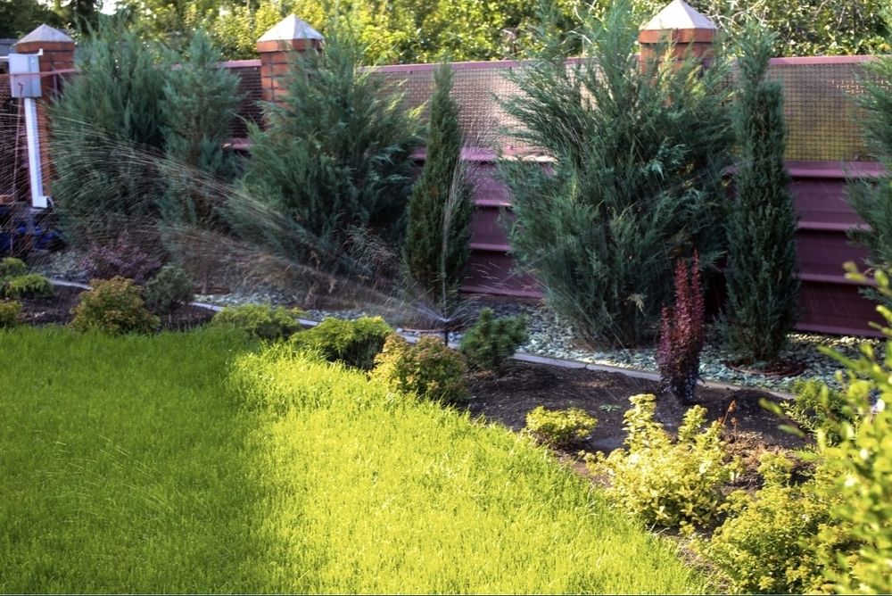 Газон и автополив