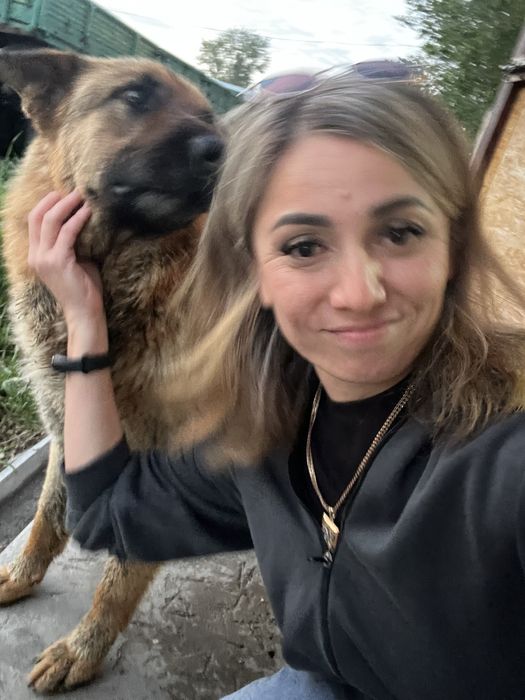 Пропала овчарка девочка