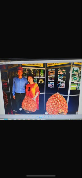 Пальмовое масло  Nutrolein