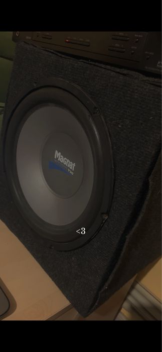 Subwoofer magnat