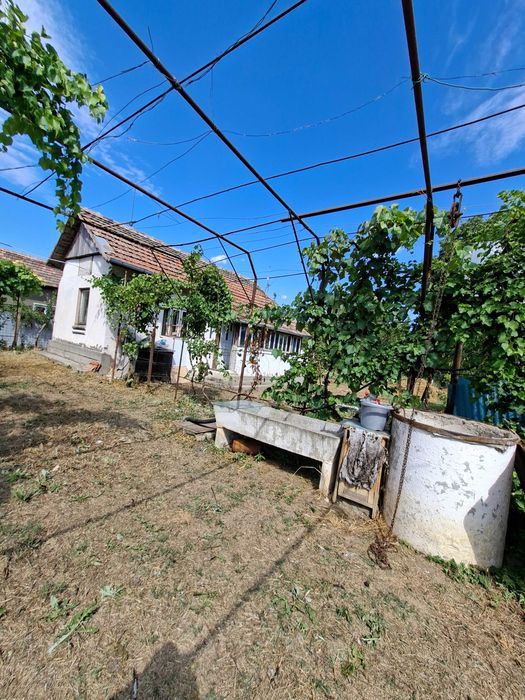 Vând proprietate în comuna Rogova (25km de Severin) având suprafața de 1140mp.