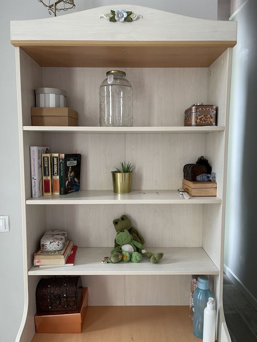 Книжный стеллаж Чилек