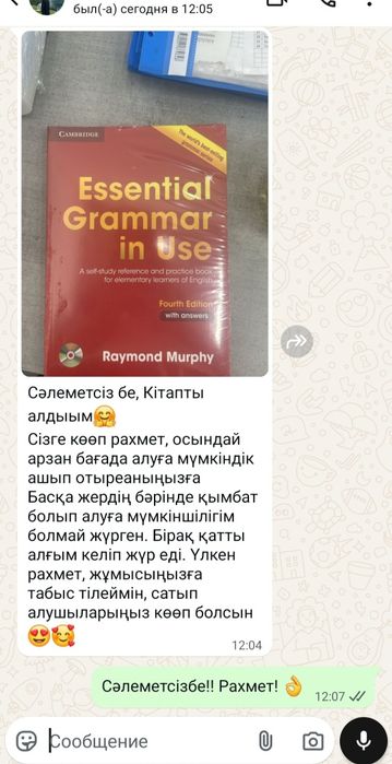 English grammar in use  Essential grammar in use