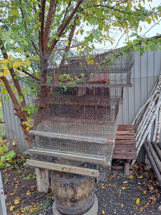 Cuști prepelițe și rastel