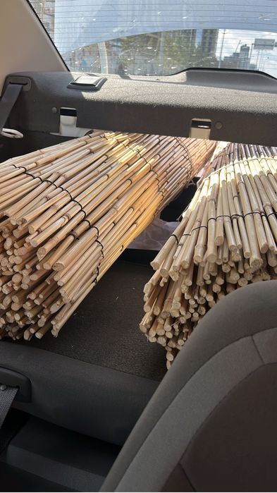 Камыш Декоративный