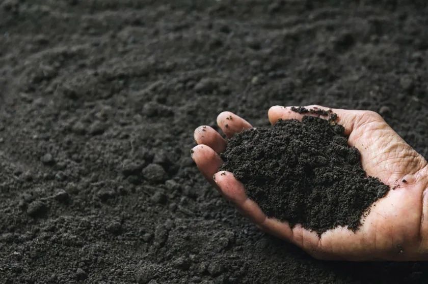 Чернозем с доставкой